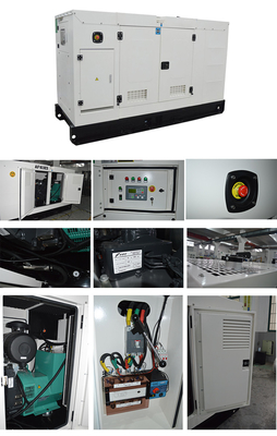 Tiêu thụ nhiên liệu thấp im lặng Máy phát điện Diesel Set Italy FPT FPT Engine